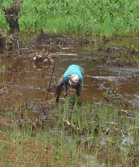 Youth Empowerment and Employment in Liberia